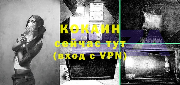 mdpv Медногорск