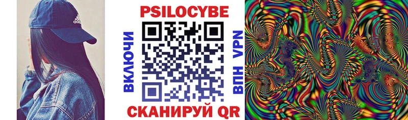 где найти наркотики  Удачный  Псилоцибиновые грибы мицелий 